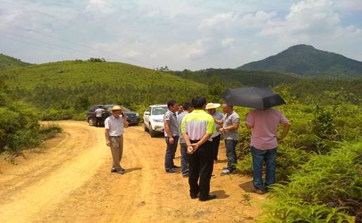 扶贫简报54:上义镇招元村大力发展光伏发电扶