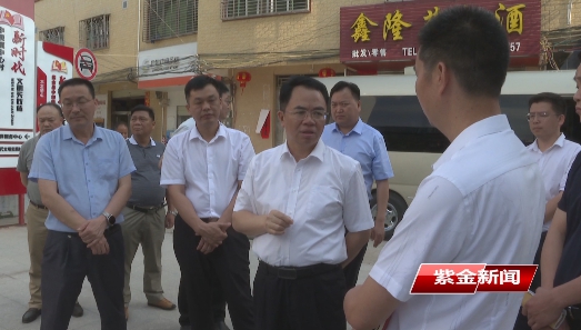 黄春彭到中坝镇调研