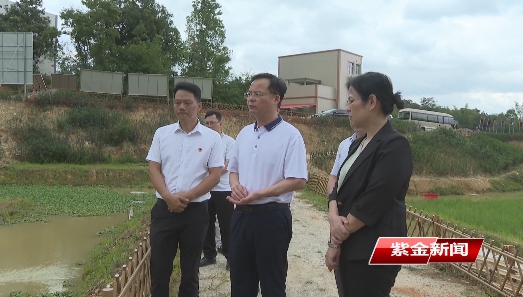邓红卫到凤安镇调研美丽圩镇建设工作