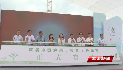 首届中国蝉茶（紫金）开采节成功举办
