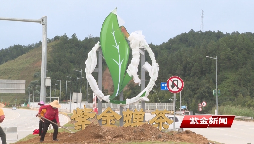 紫金：扮靓蝉茶大道  迎接八方来客