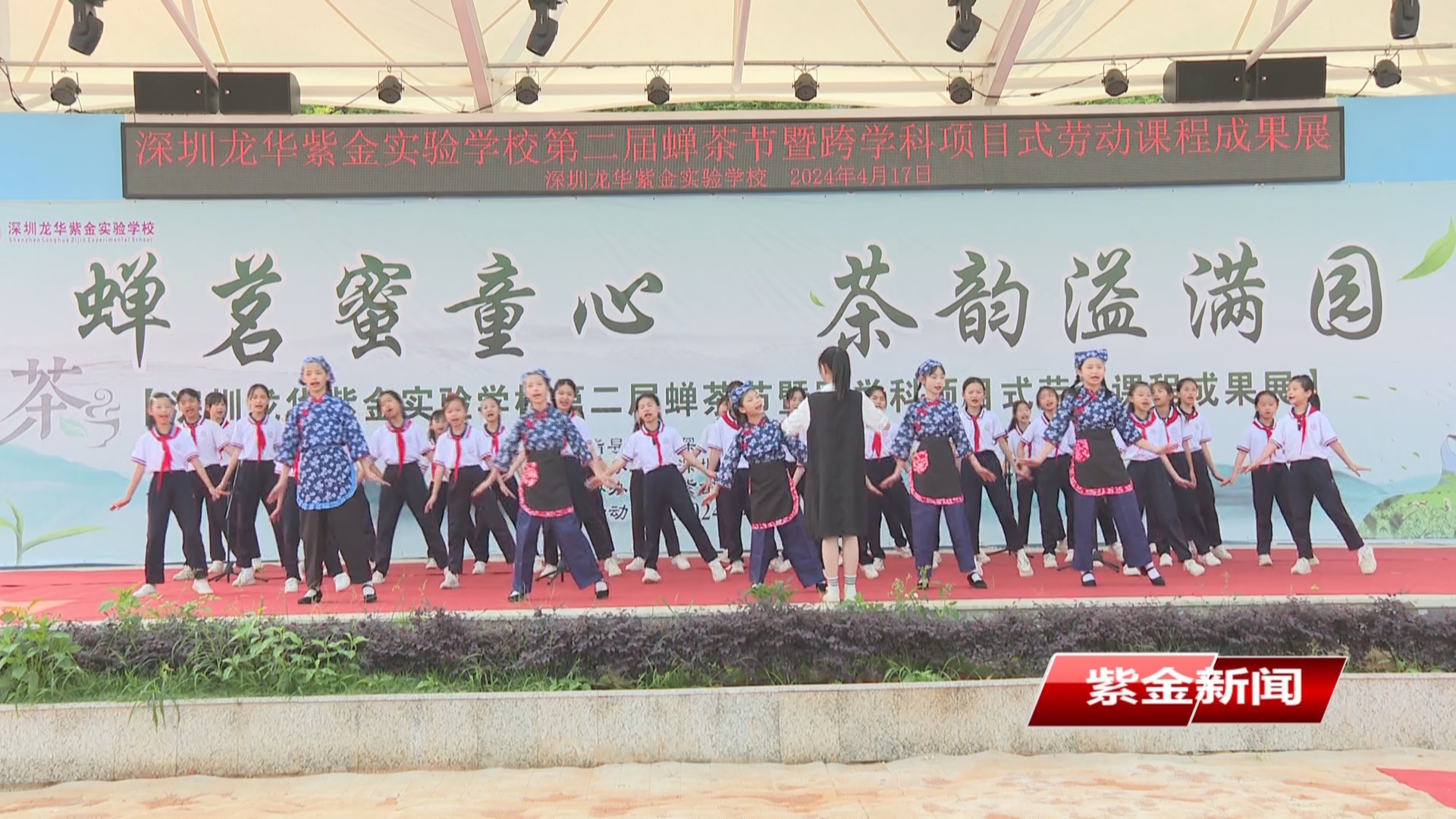 深圳龙华紫金实验学校第二届蝉茶节开幕