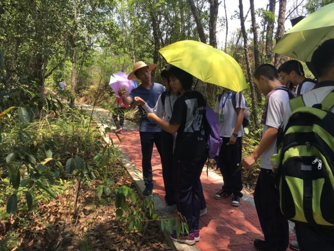 这个六一去哪玩？深圳公园里的儿童游乐设施丰富到超出想象_深圳新闻网