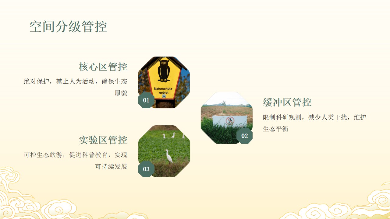 幻灯片12.jpg