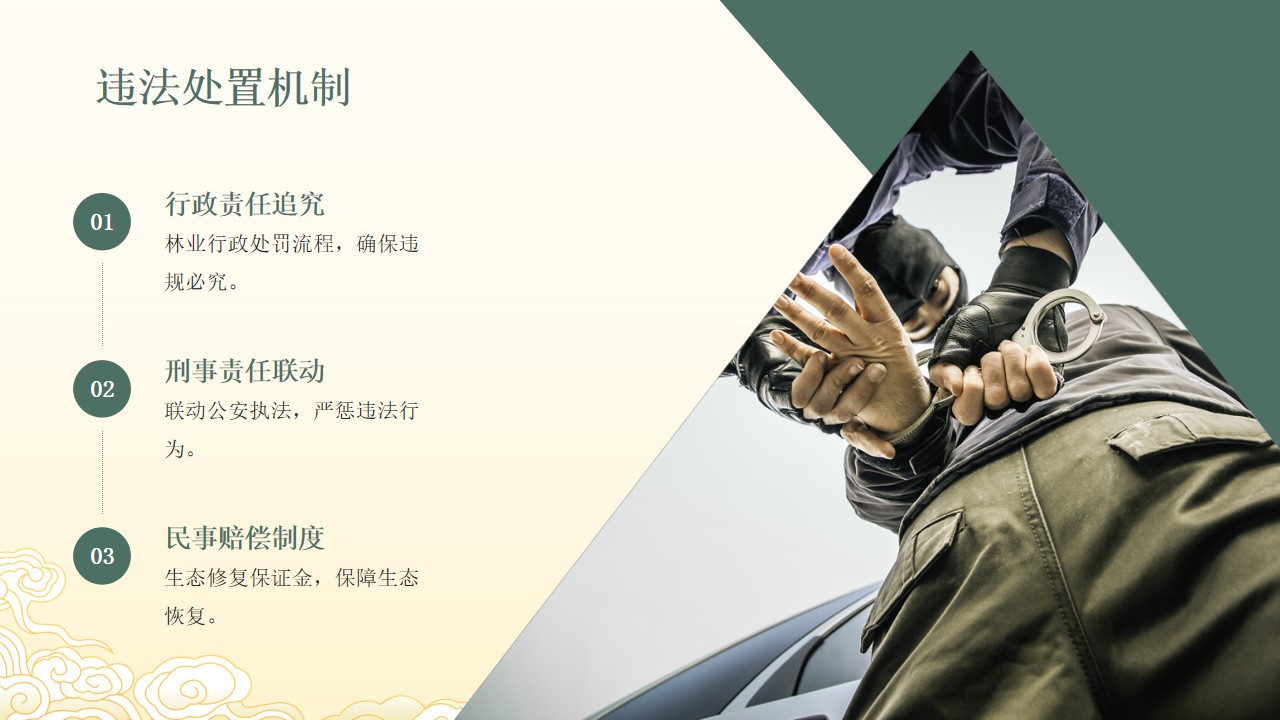 幻灯片16.jpg