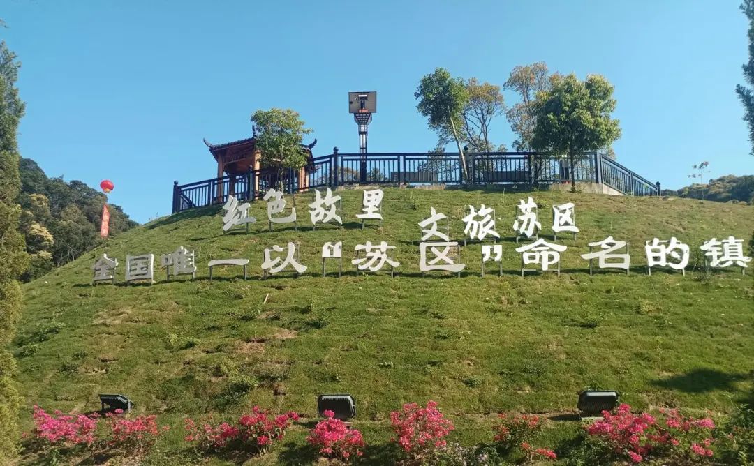 紫金金融监管支局：以金融之力支持革命老区振兴