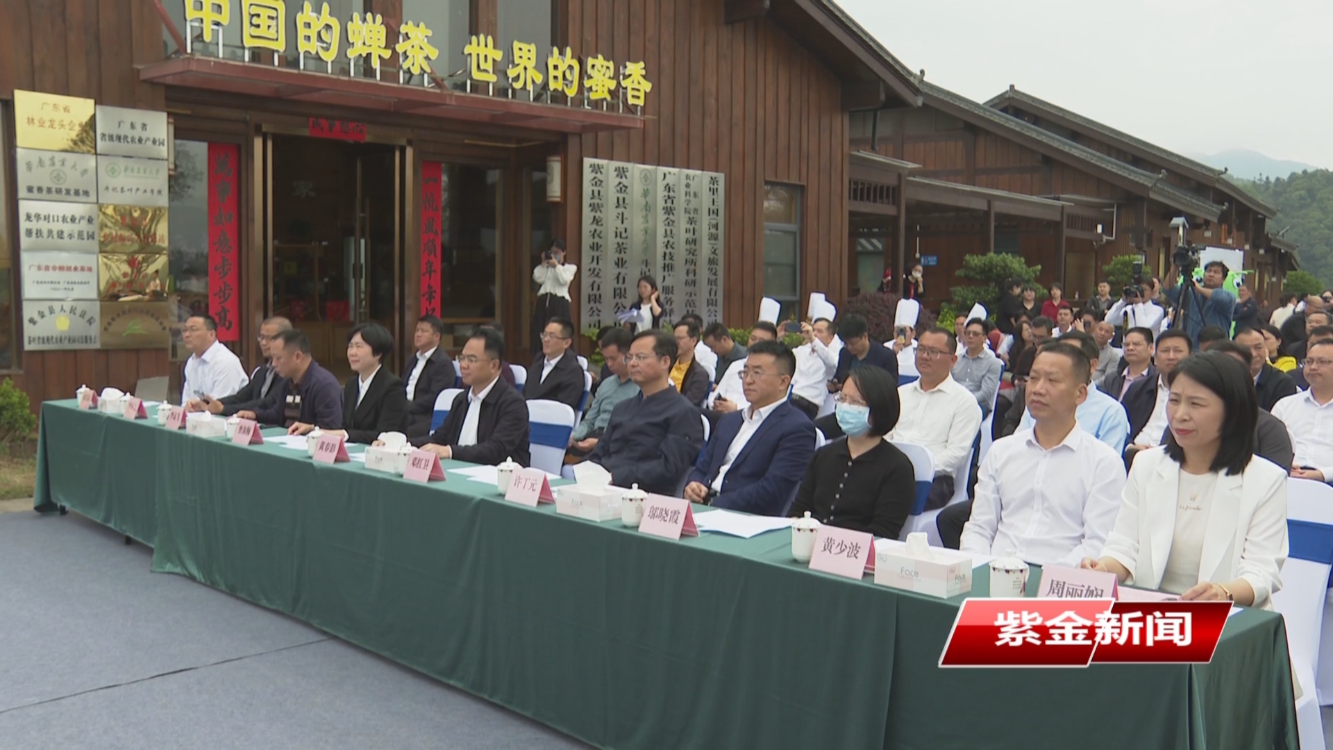 紫金启动2025年头春茶文旅活动周