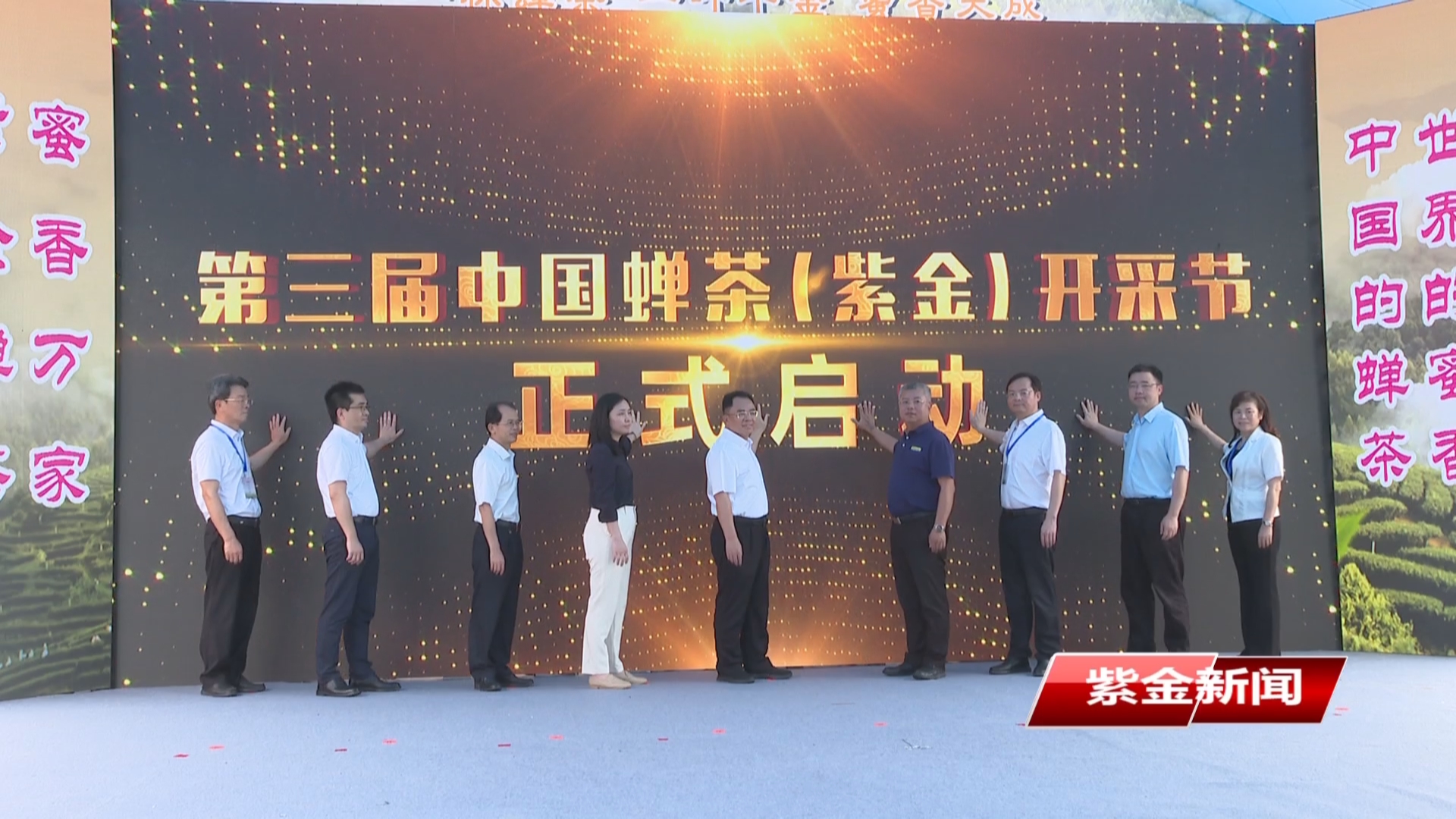 紫金举办第三届中国蝉茶开采节