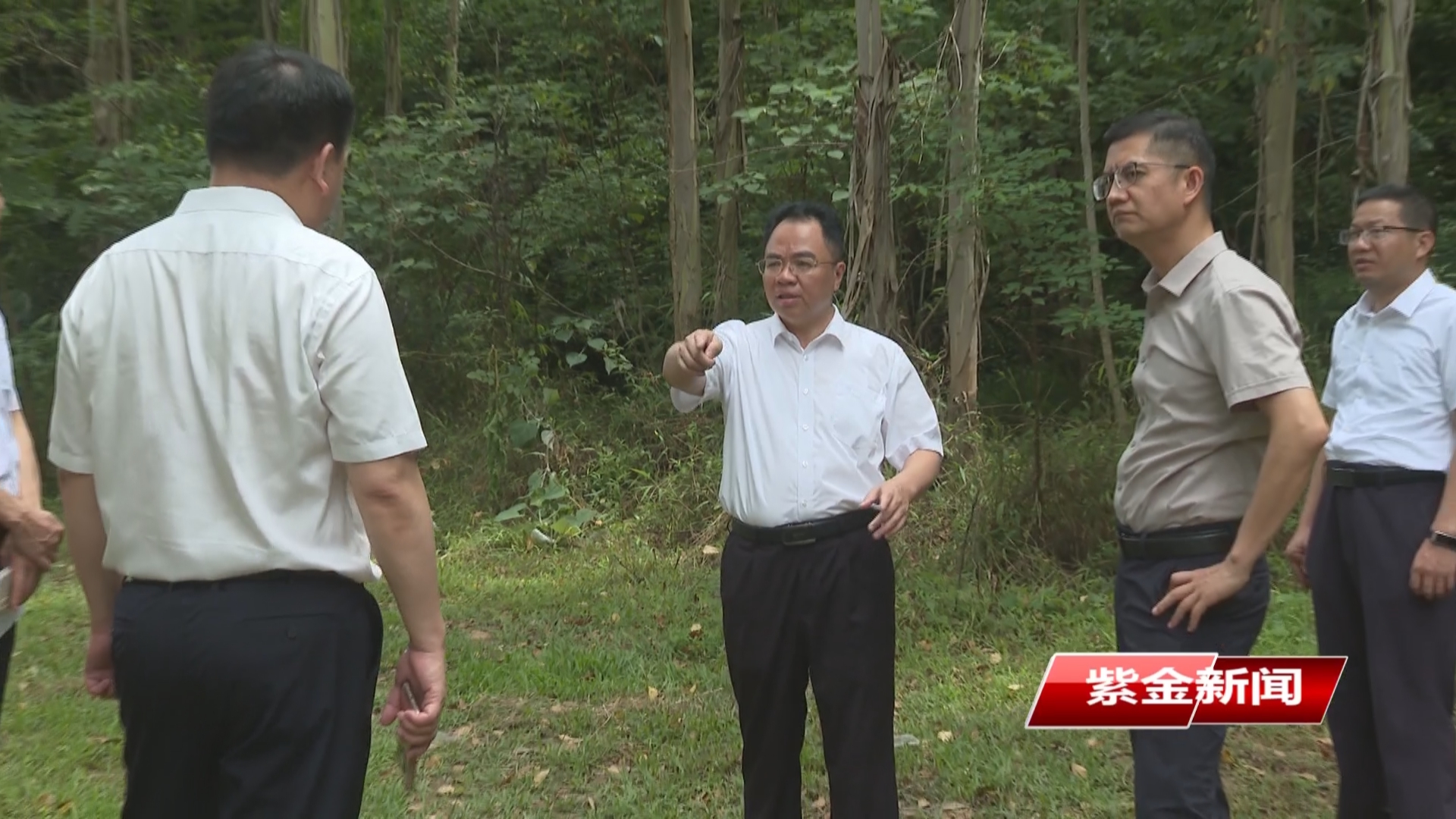 黄春彭到水墩镇调研典型村培育和城乡风貌管控提升工作