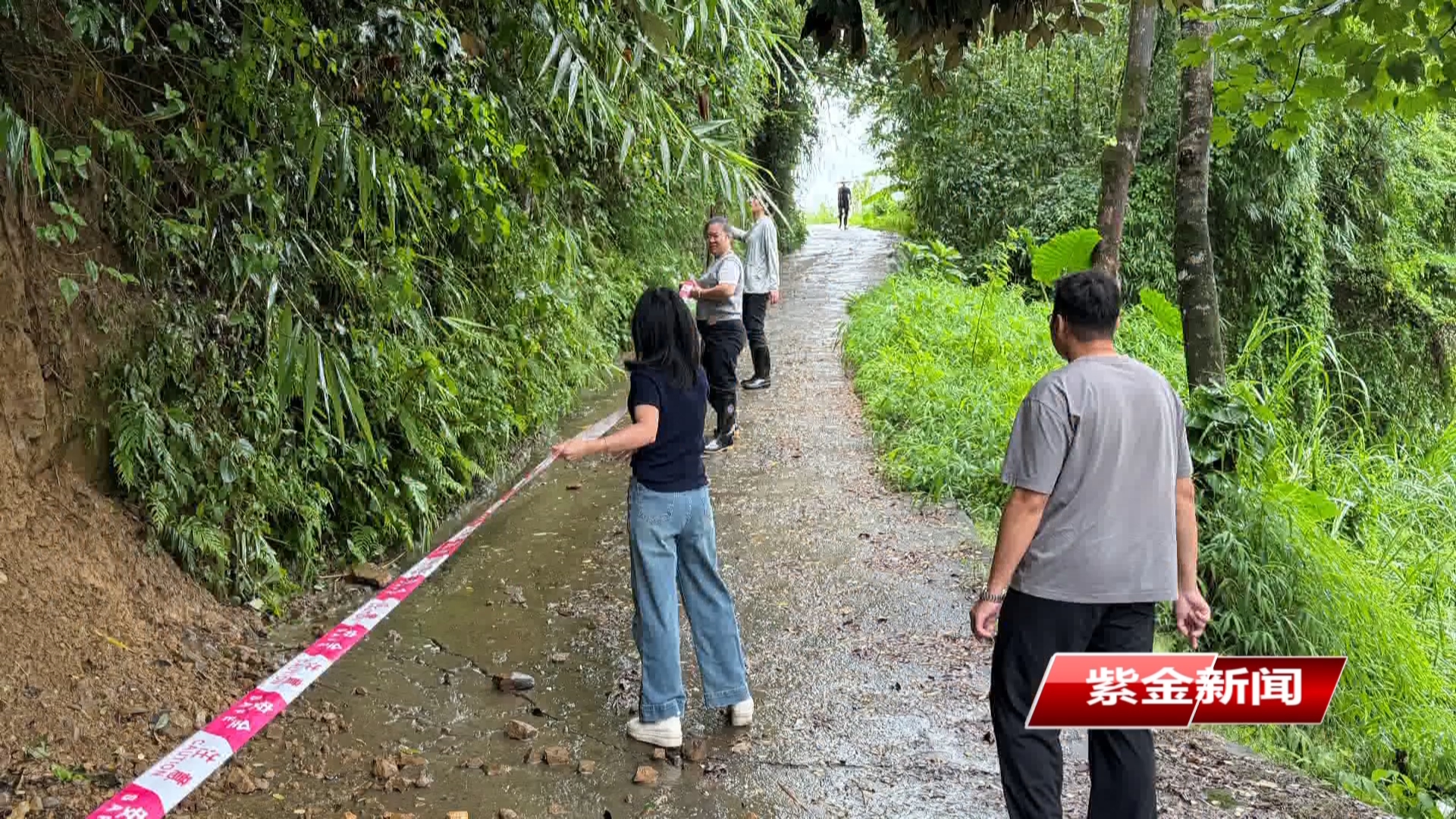 紫金水墩镇：全力筑牢台风“桦加沙”防御屏障