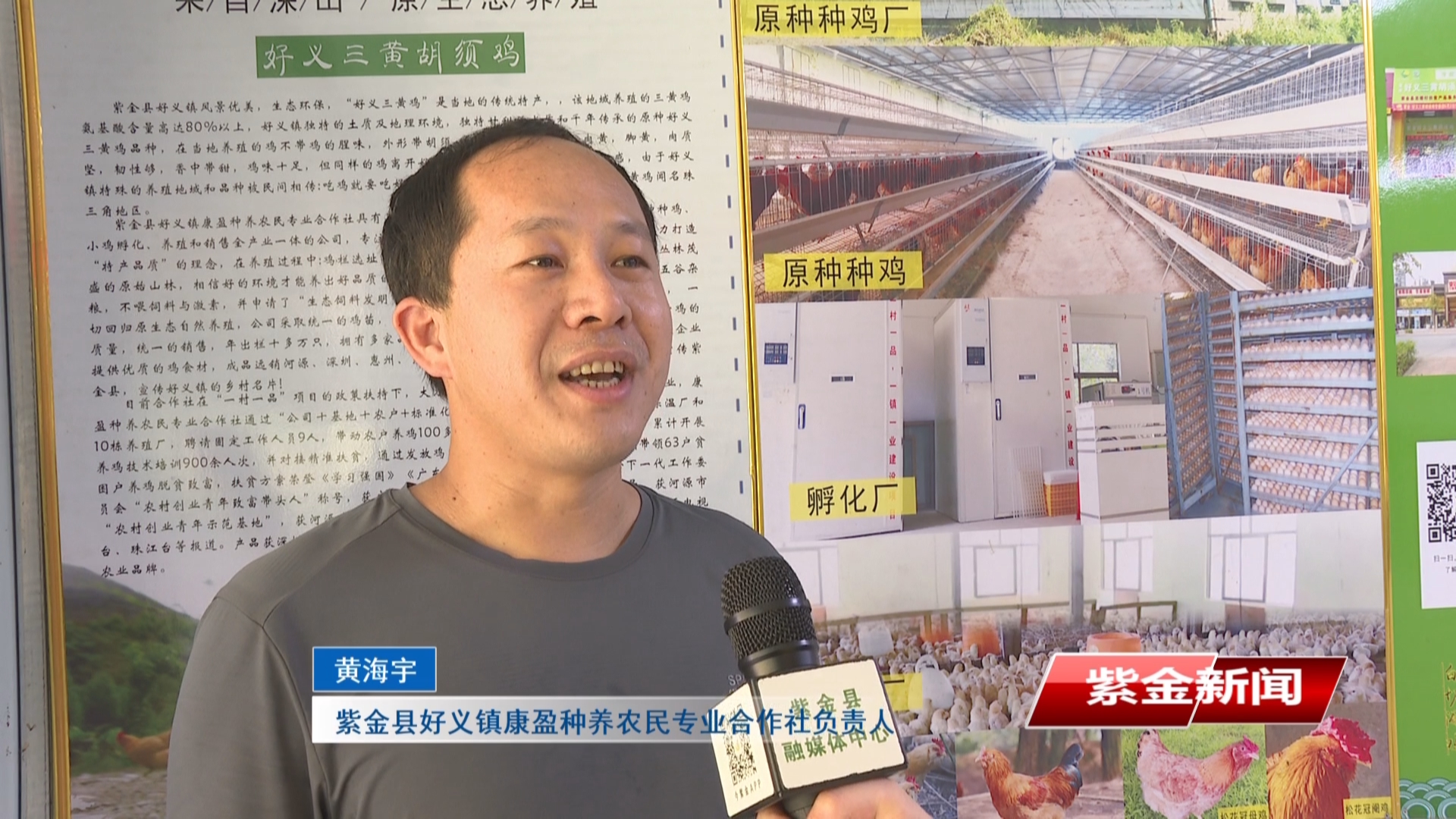 紫金返乡大学生黄海宇：带领乡亲养“品牌鸡” 让三黄鸡成“致富名片”