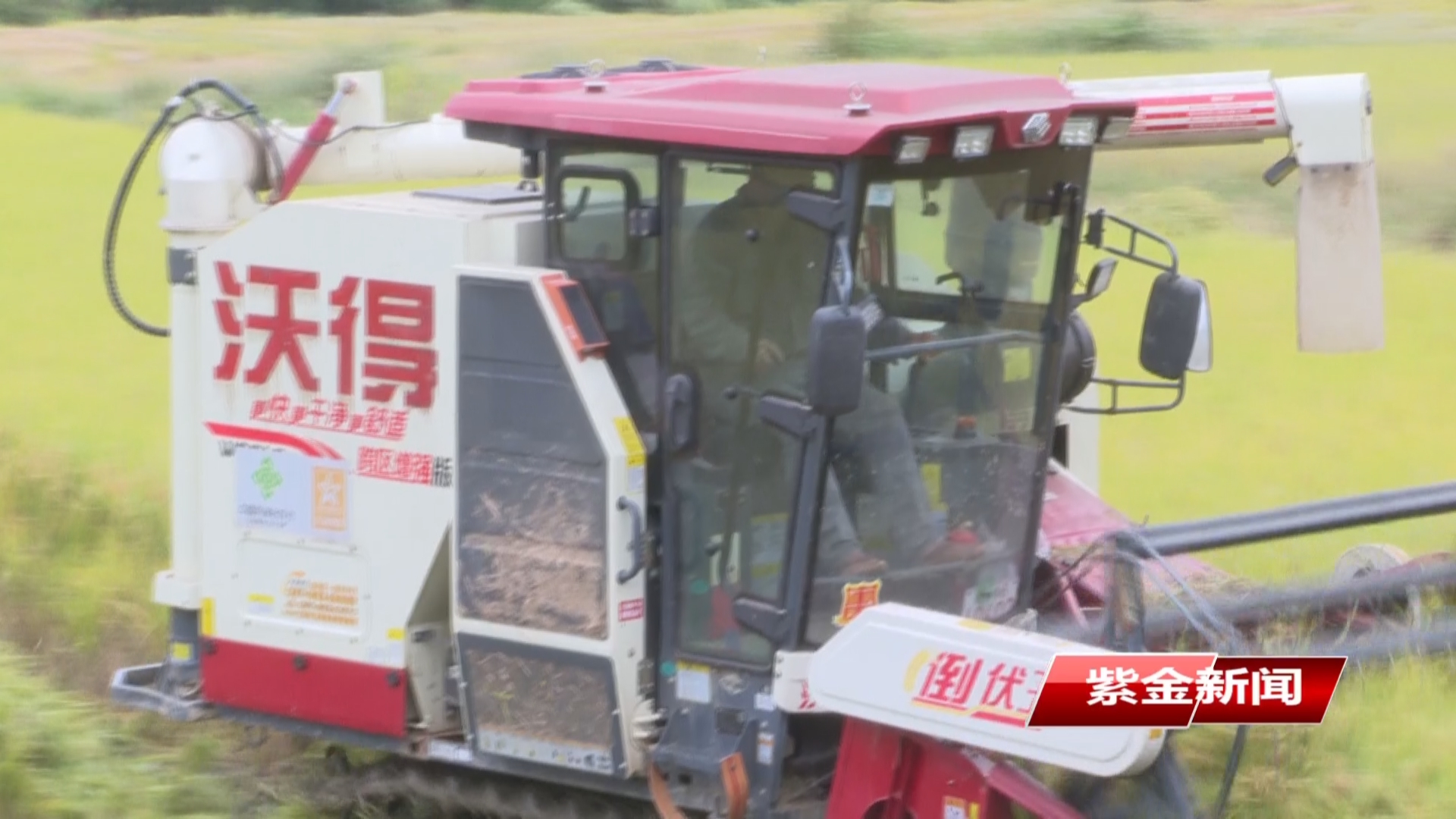 紫金：晚稻收割正当时 田间奏响“丰收曲”