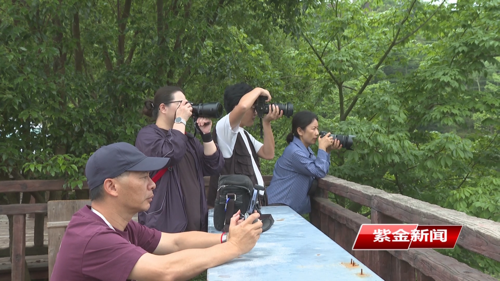 北京摄影函授学院广东班师生到紫金<br/>开展紫金蝉茶影像采风创作活动