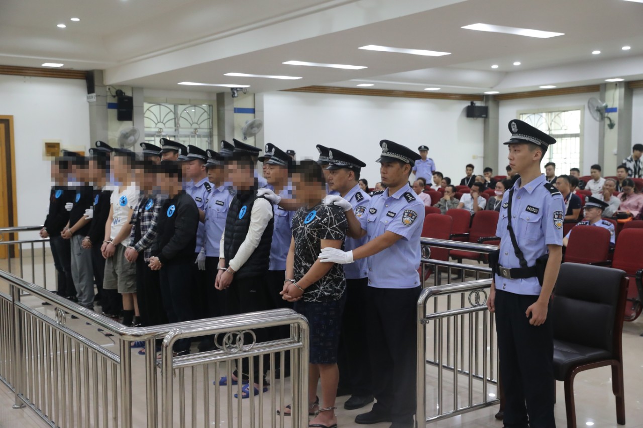 紫金法院公开宣判一起恶势力犯罪集团案主犯一审被判有期徒刑七年