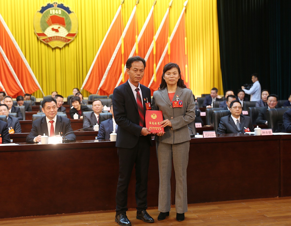 【紫金"两会"】县政协十届四次会议胜利闭幕,刘向红当选县政协主席